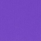 Florence cardstock texture 12x12" 216gram violet