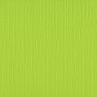 Florence cardstock texture 12x12" 216gram lime