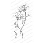 Impression Obsession Cling mounting stamp Loving Daisies