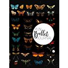 Mijn Bullet Journal - vlinders